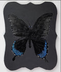 Black Quad Series: Butterfly original