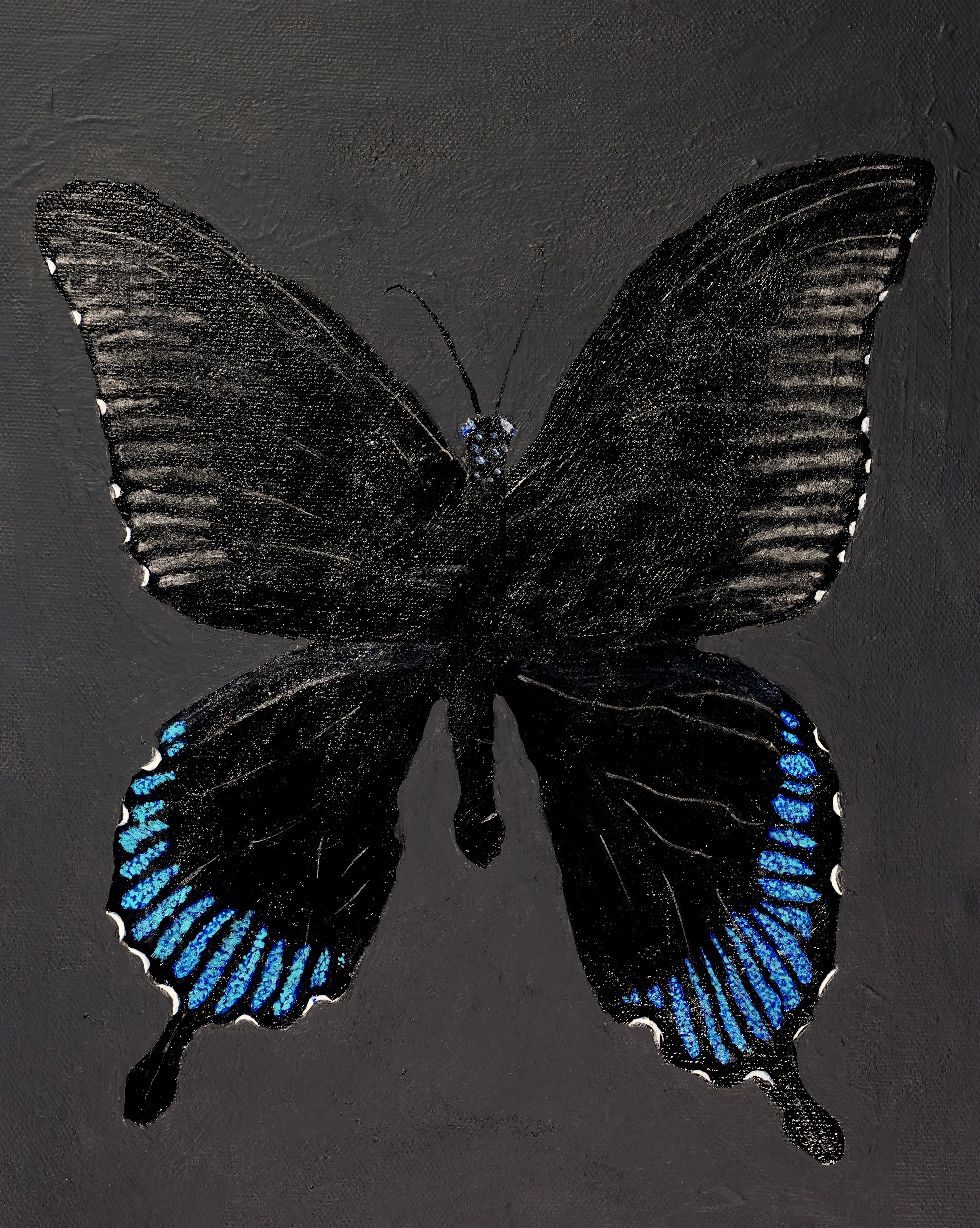 Black Quad Series: Butterfly