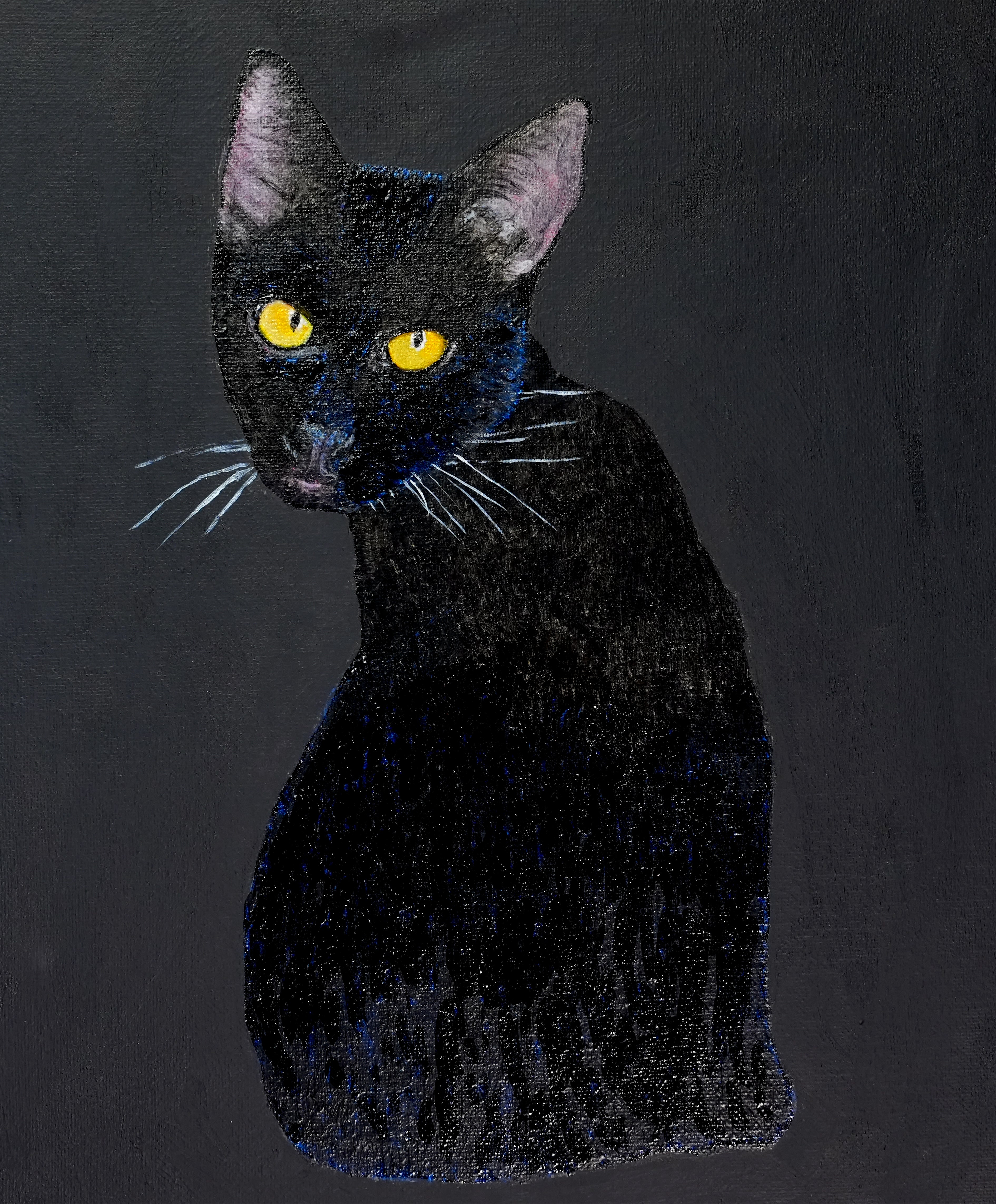 Black Quad Series: Cat