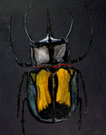 Black Quad Series: Scarab
