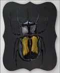 Black Quad Series: Scarab original