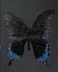 Black Quad Series: Butterfly print