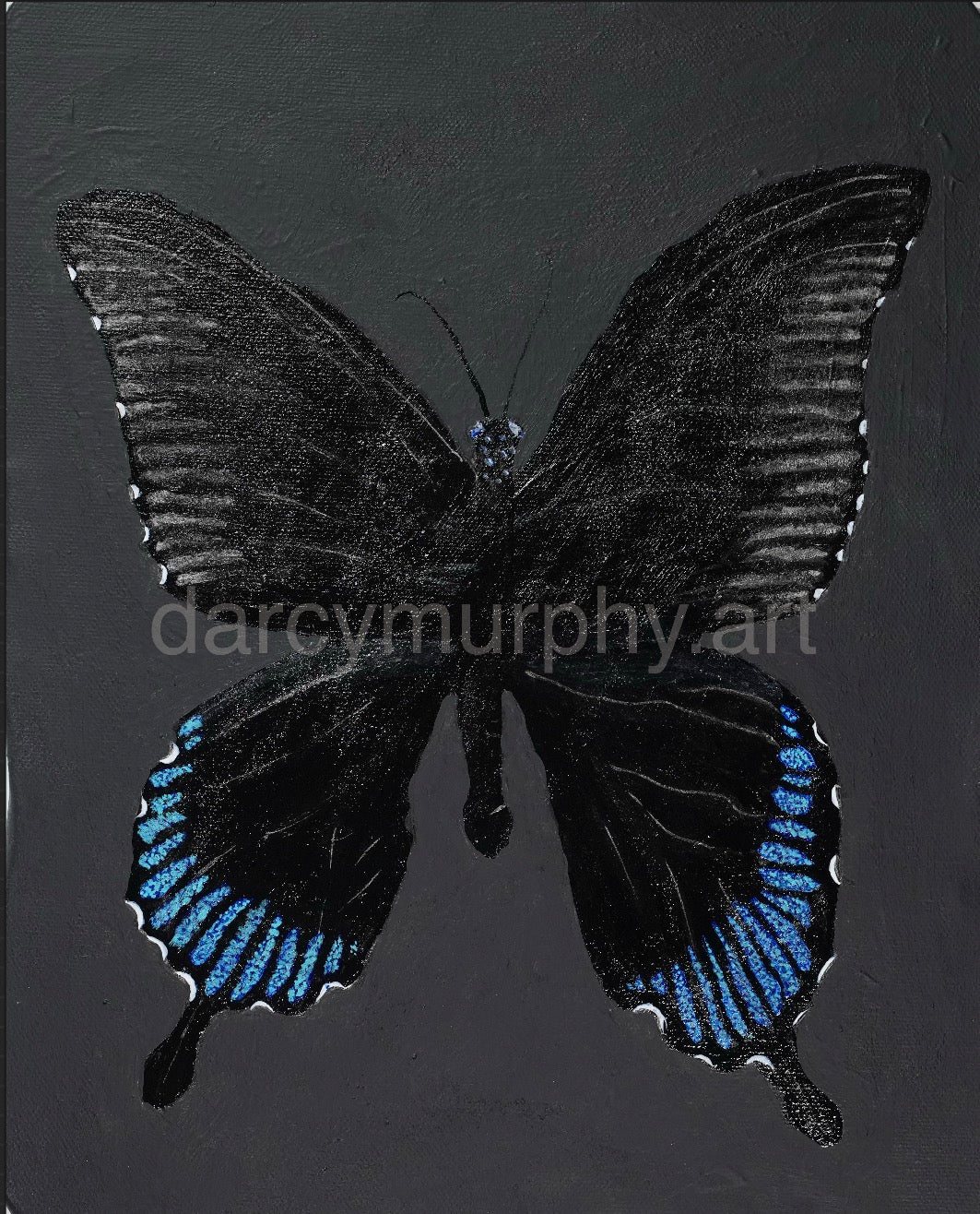 Black Quad Series: Butterfly print