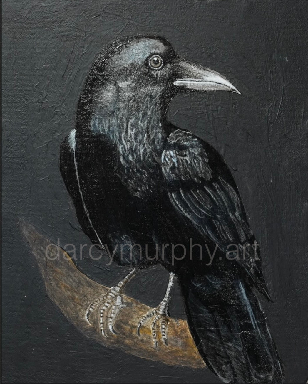 Black Quad Series: Raven print