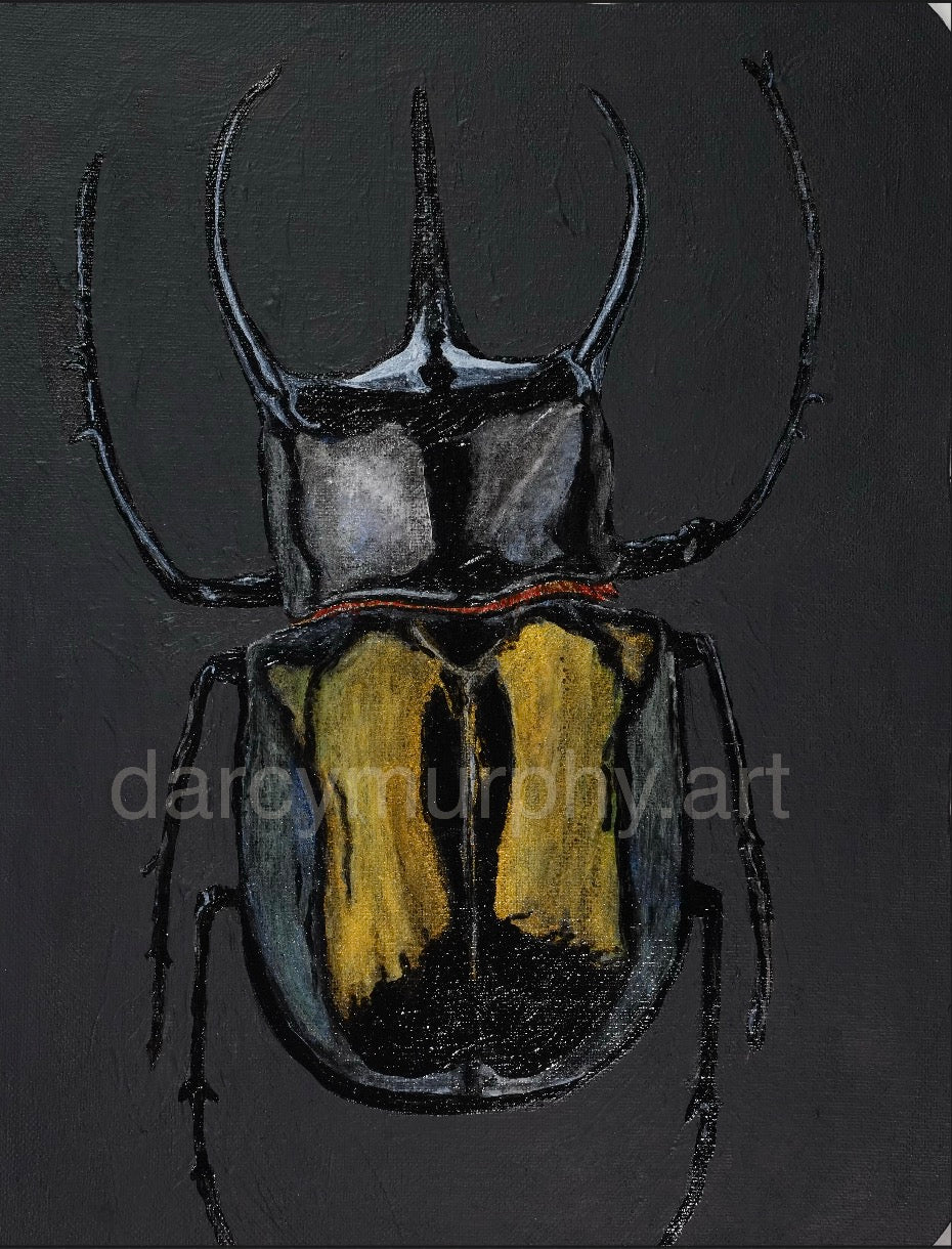 Black Quad Series: Scarab print