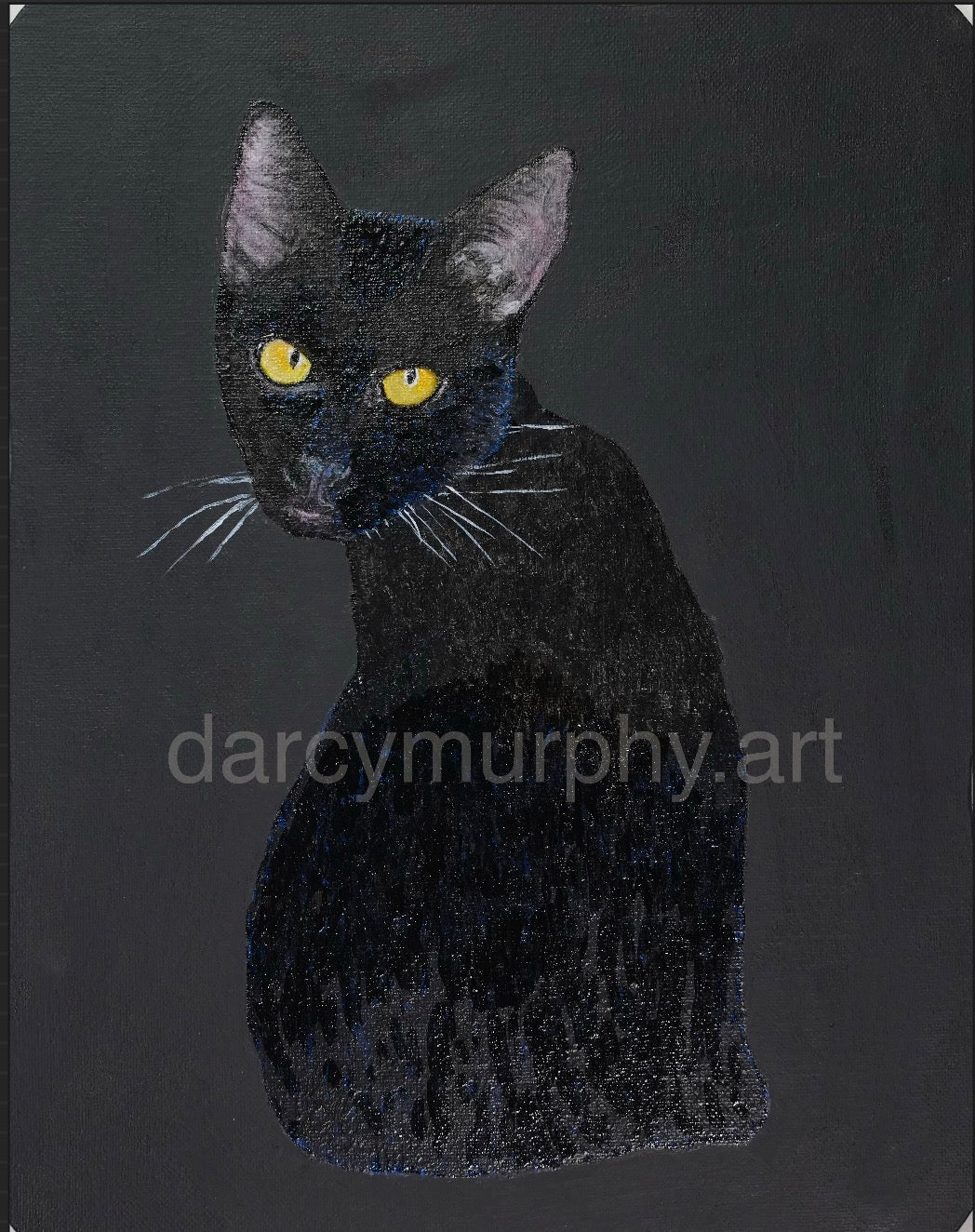 Black Quad Series: Cat print