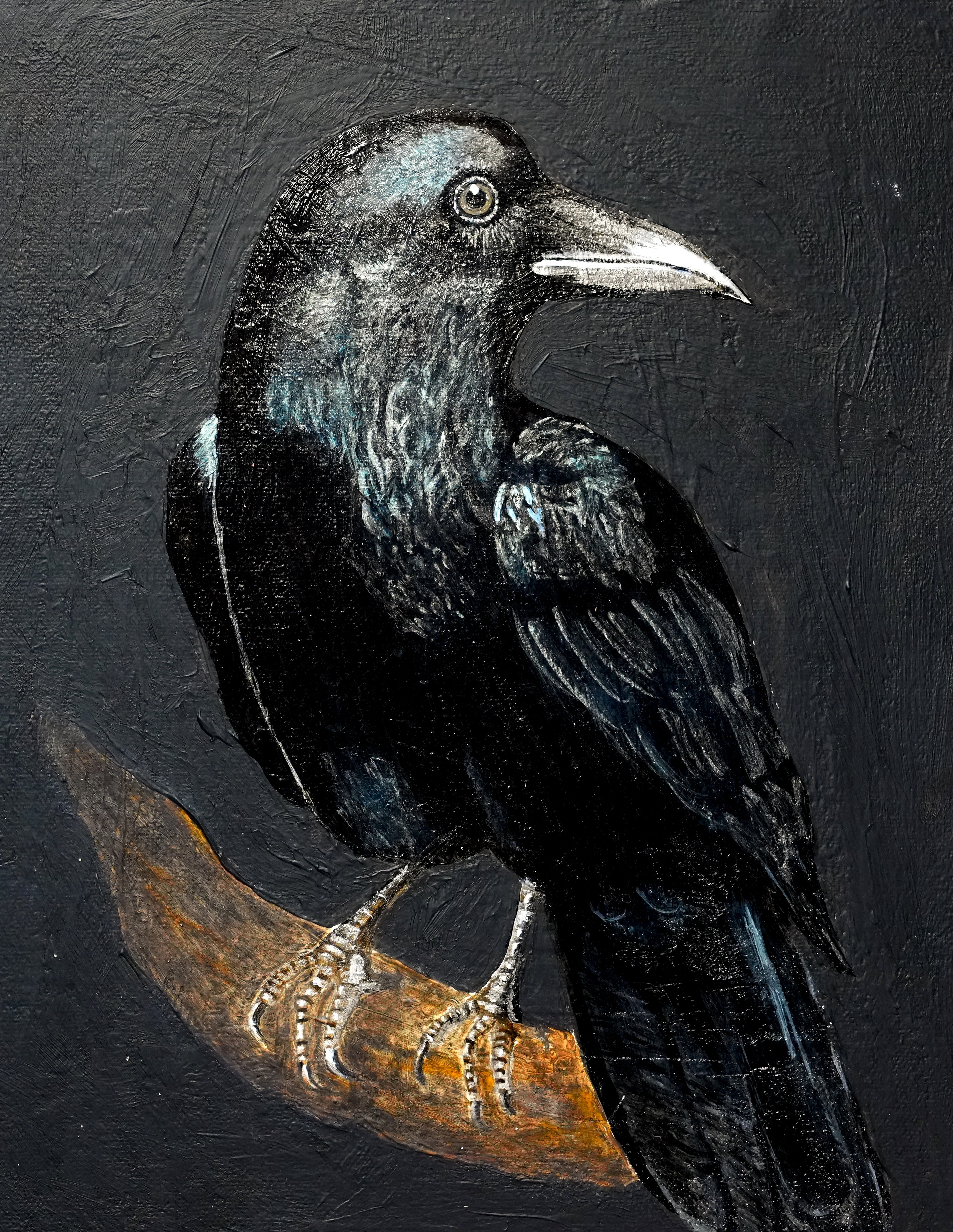 Black Quad Series: Raven